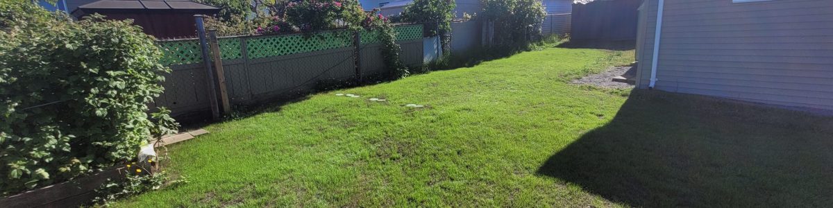 Cassidy Before and After 6 Photos